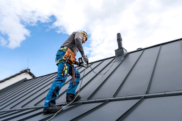 Best Solar Panel Roofing Installation  in Brawley, CA