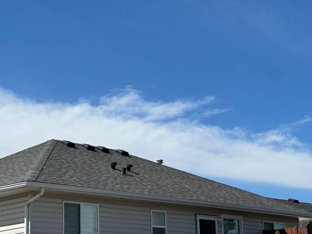 Best Sheet Metal Roofing  in Brawley, CA